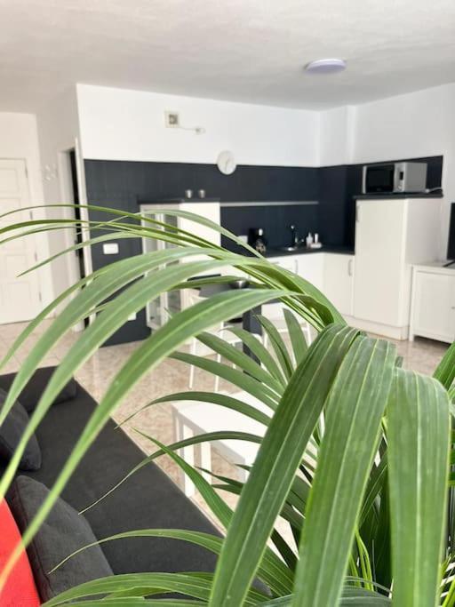 Heyhome Lynn 306 Los Cristianos  Exterior photo